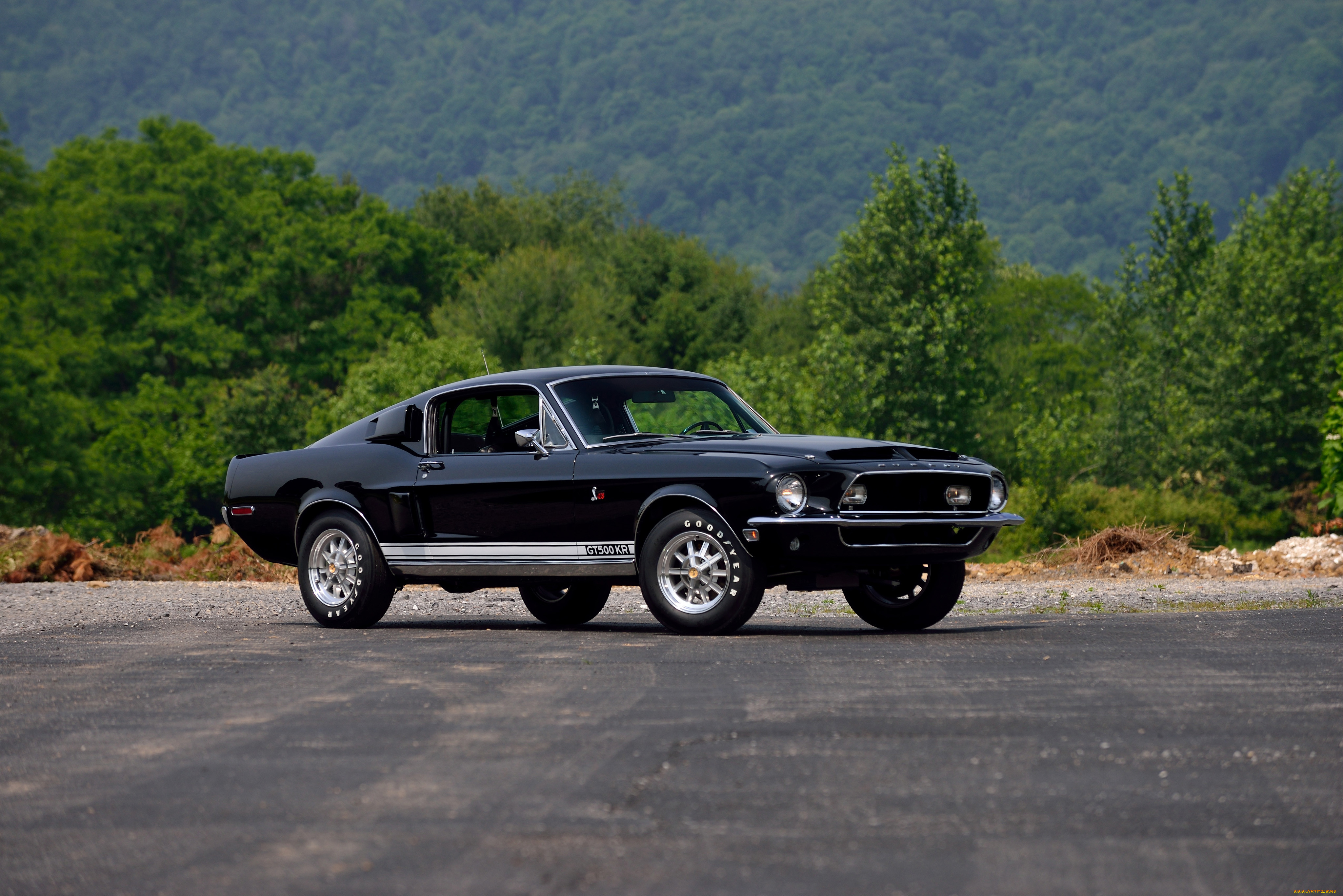 , mustang